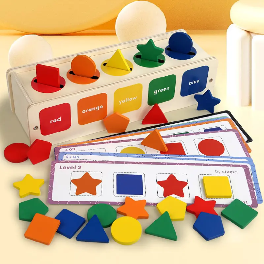 Wooden Color & Shape Sorting Box with Question Cards